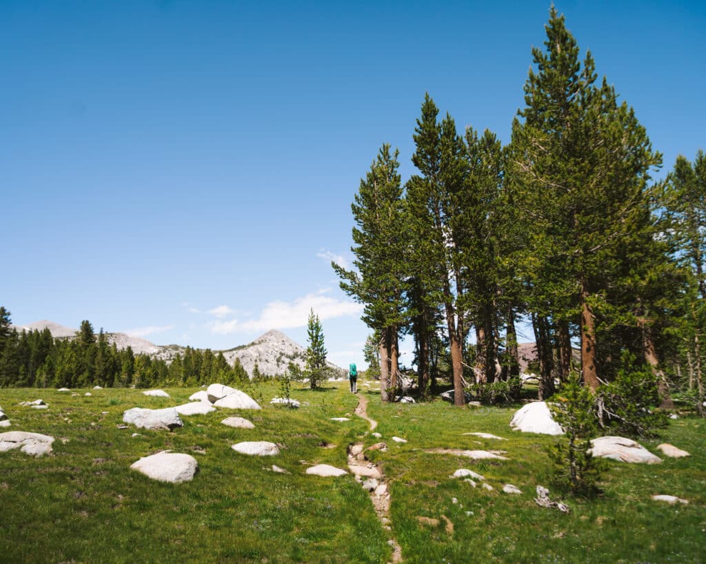 Sierra High Route Couple's Backpacking