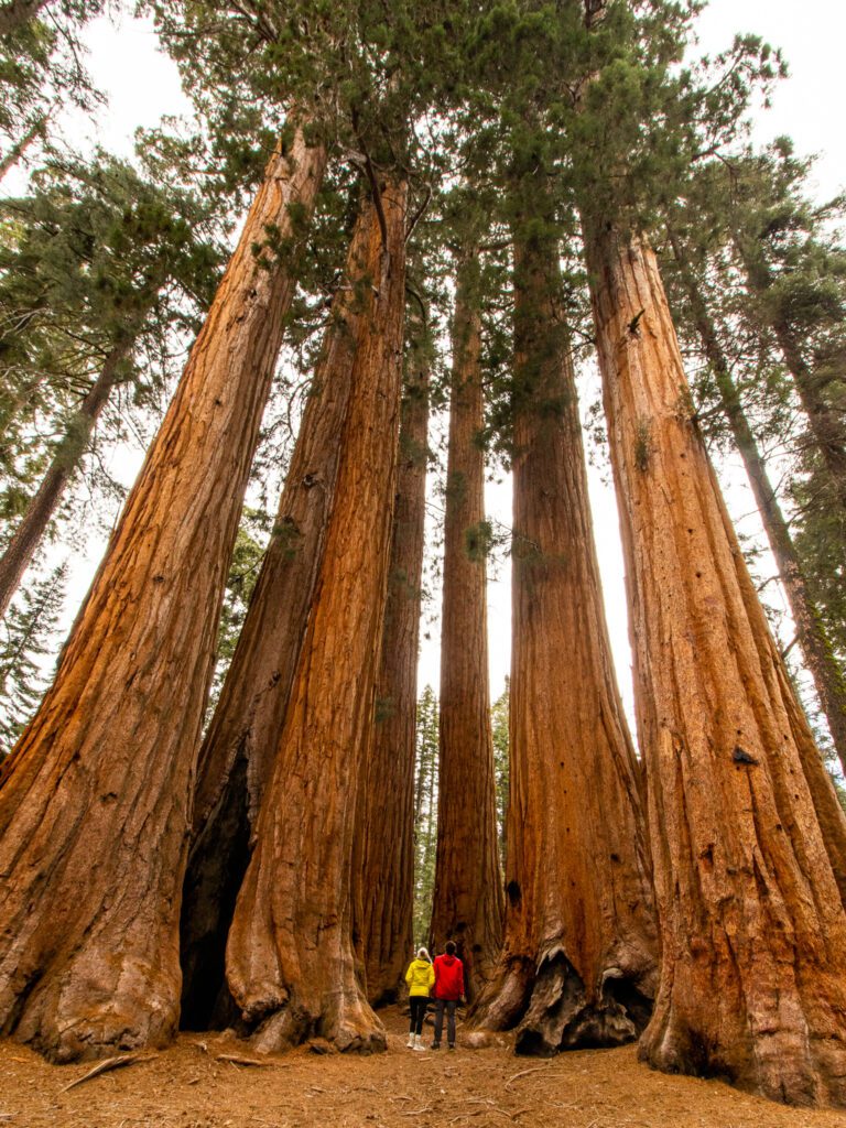 Couple's Adventure in Sequoia National Park