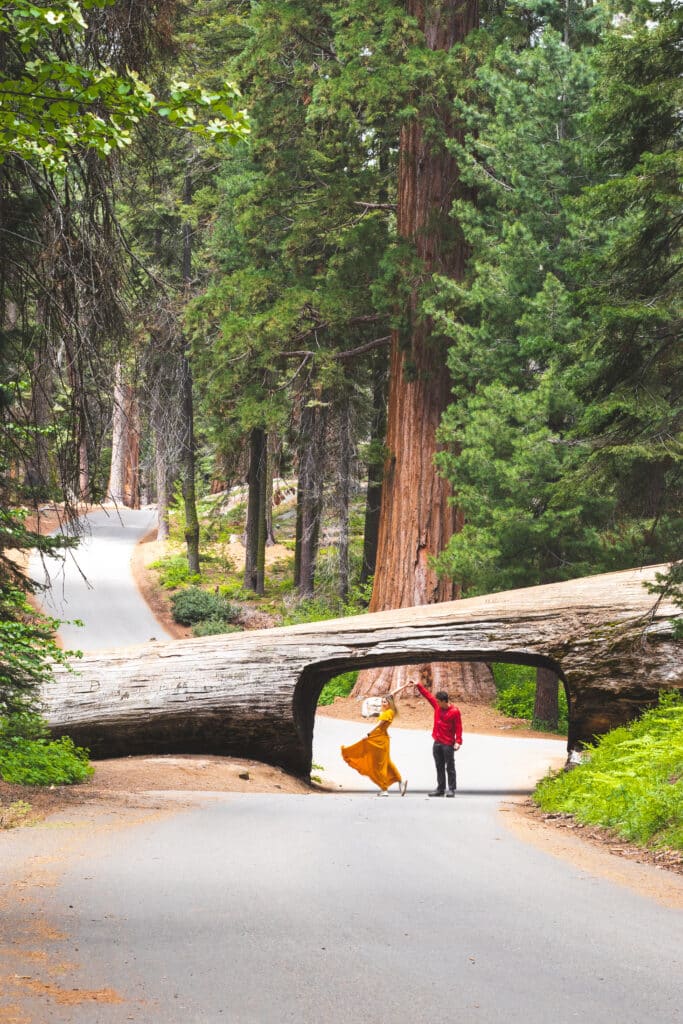 Best Camera Gear for Couples