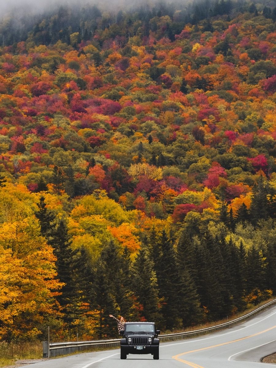 driving down road in new hampshire surrounded by beautiful fall foliage