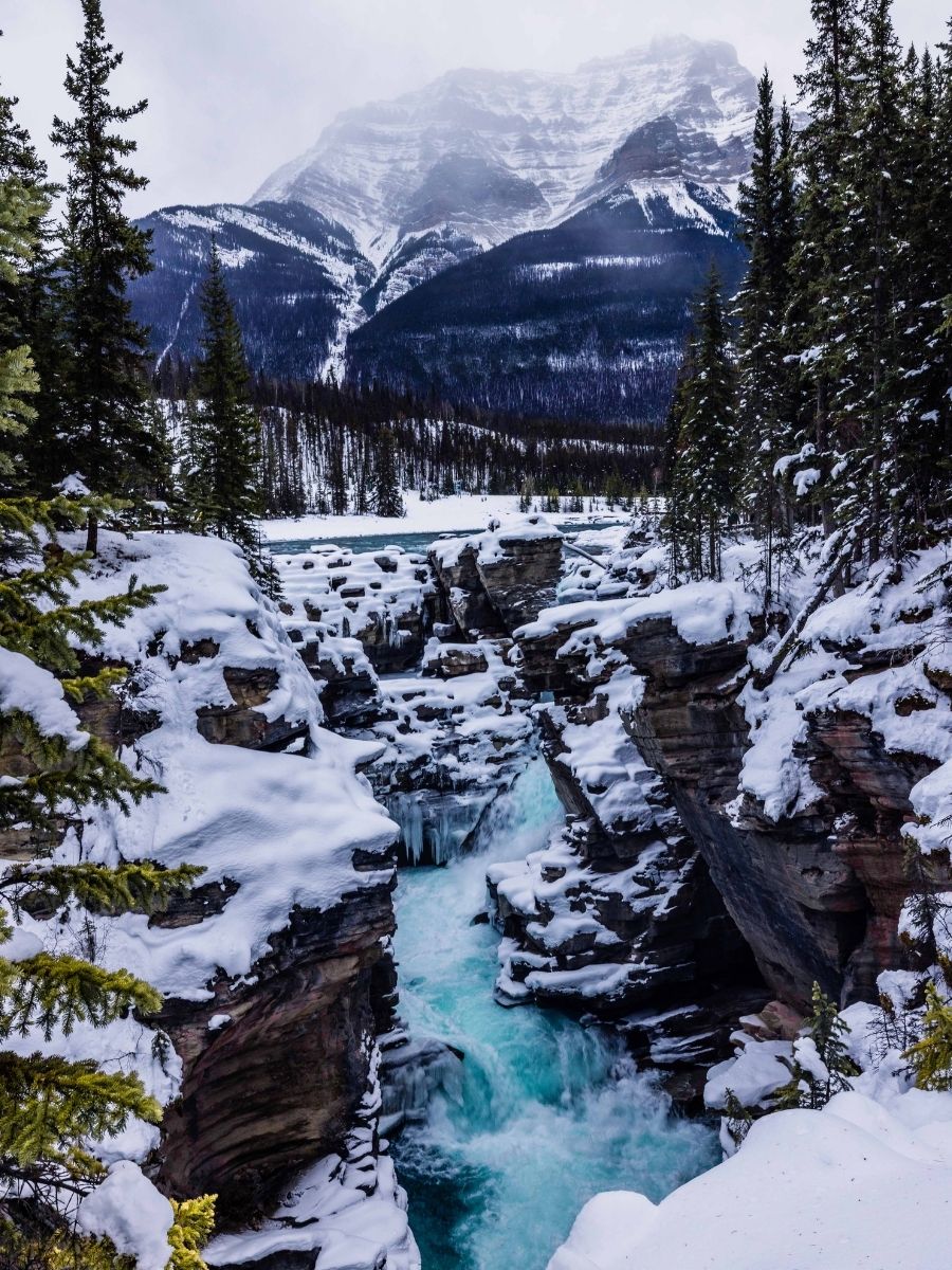 jasper national park athabasca falls in the winter