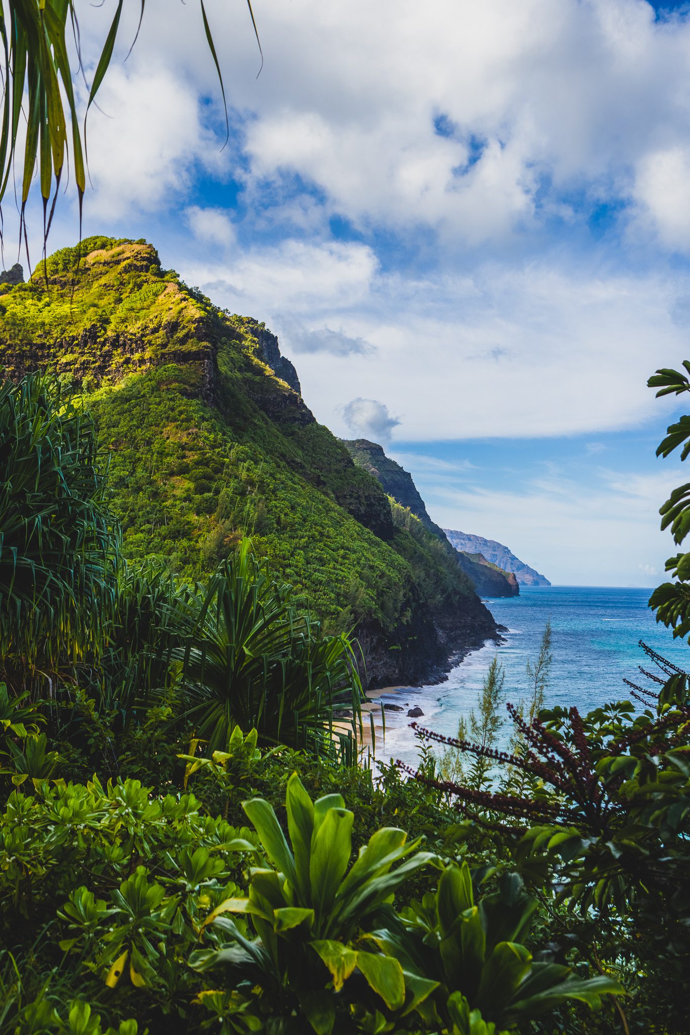 Ultimate Adventure Guide to Kauai | Top Things to Do in Kauai, Hawaii