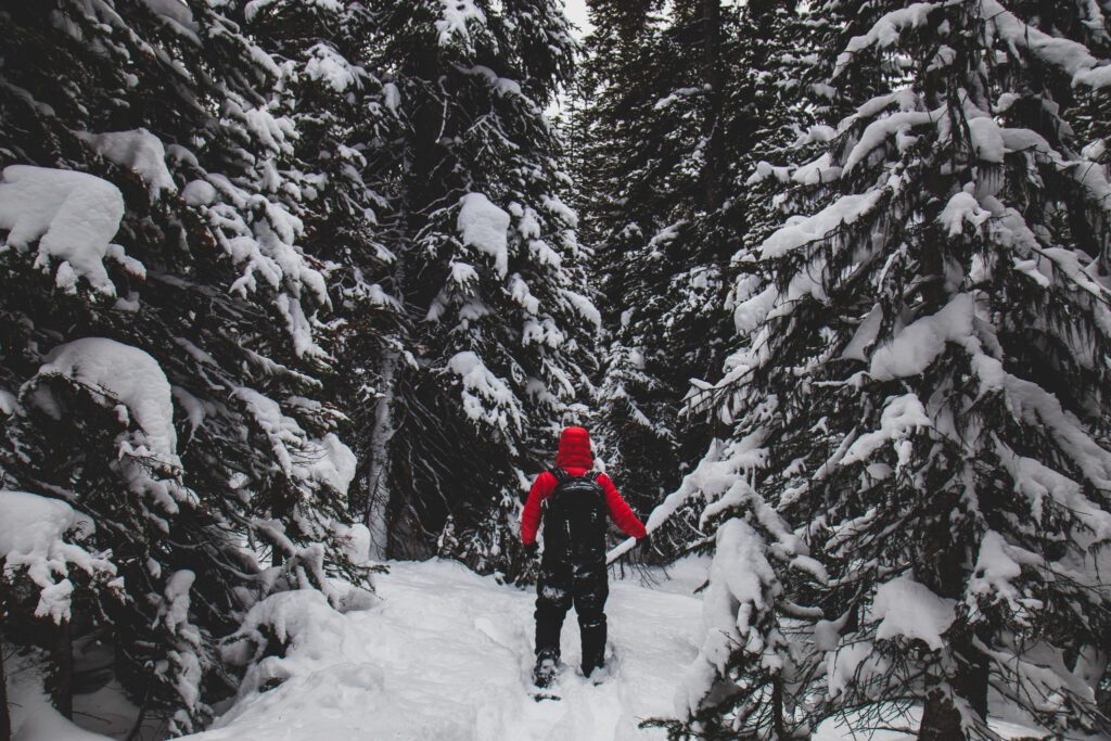 Snowshoeing through the Canadian Rockies with Rockies Helicopter Tours in Jasper National Park