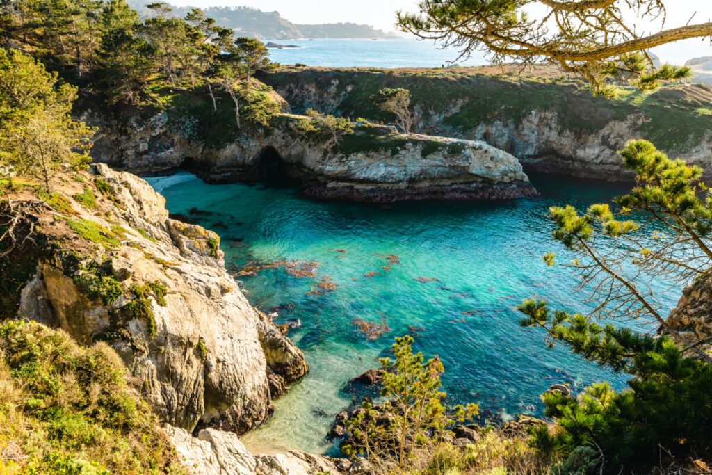 China Cove Point Lobos State Natural Reserve Monterey