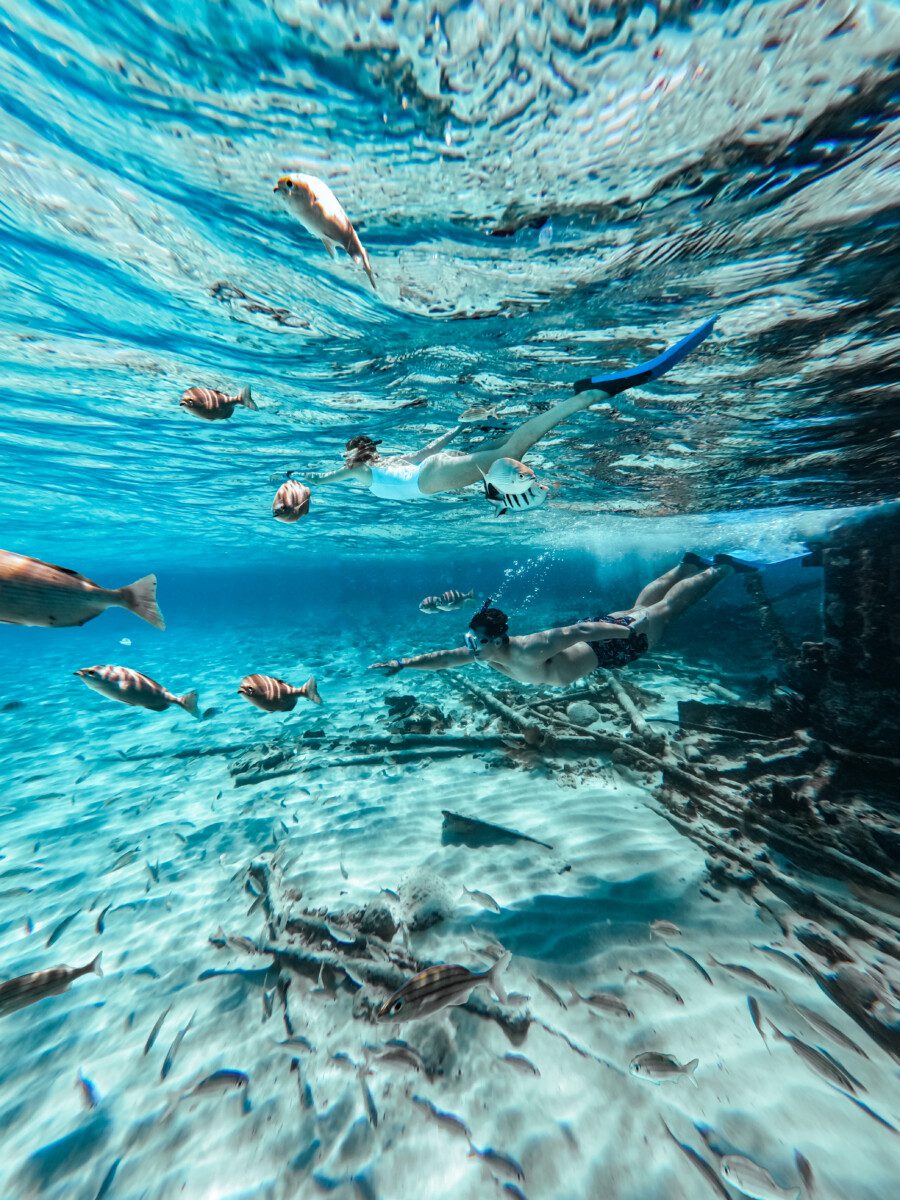 florida keys snorkeling