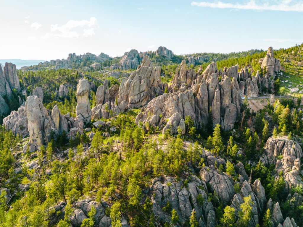 custer state park 