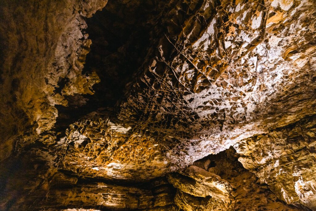 wind cave national park 