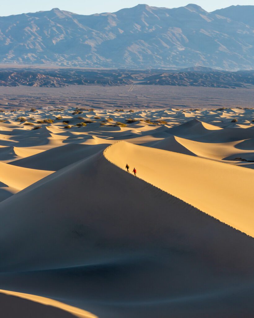 Mesquite Flats sand dunes at sunrise in Death Valley National Park