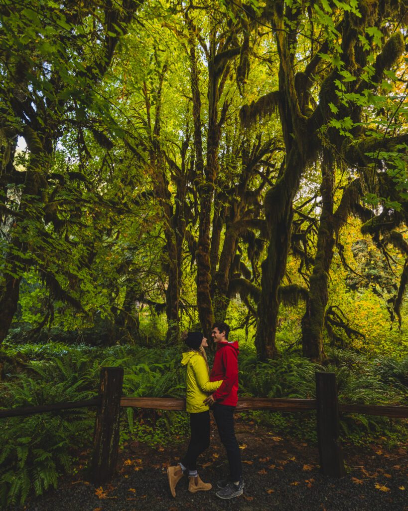 Hall of Mosses Trail in Olympic National Park's Hoh Rainforest