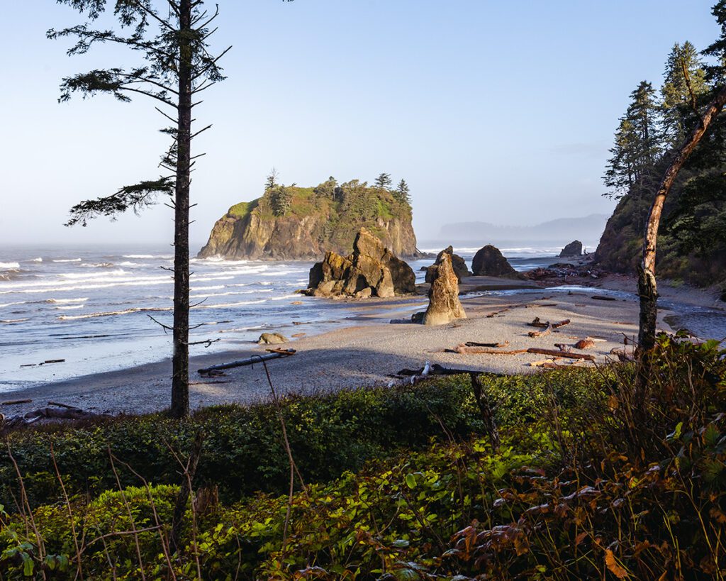 How to Visit Olympic National Park in One Weekend