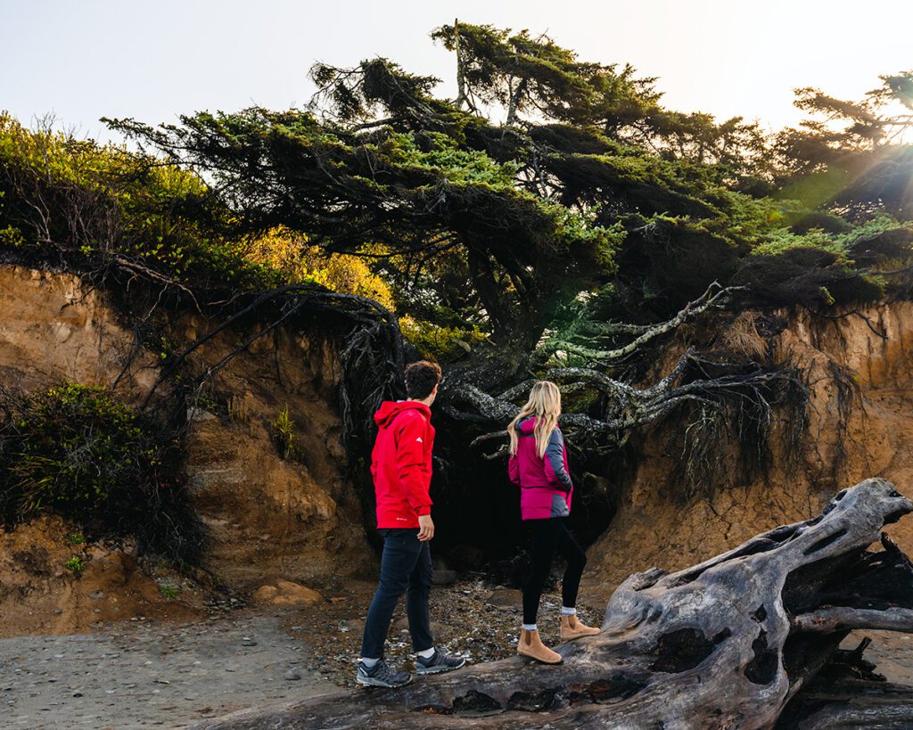 Adventure couple standing next to the tree of Life near to Ruby Beach
