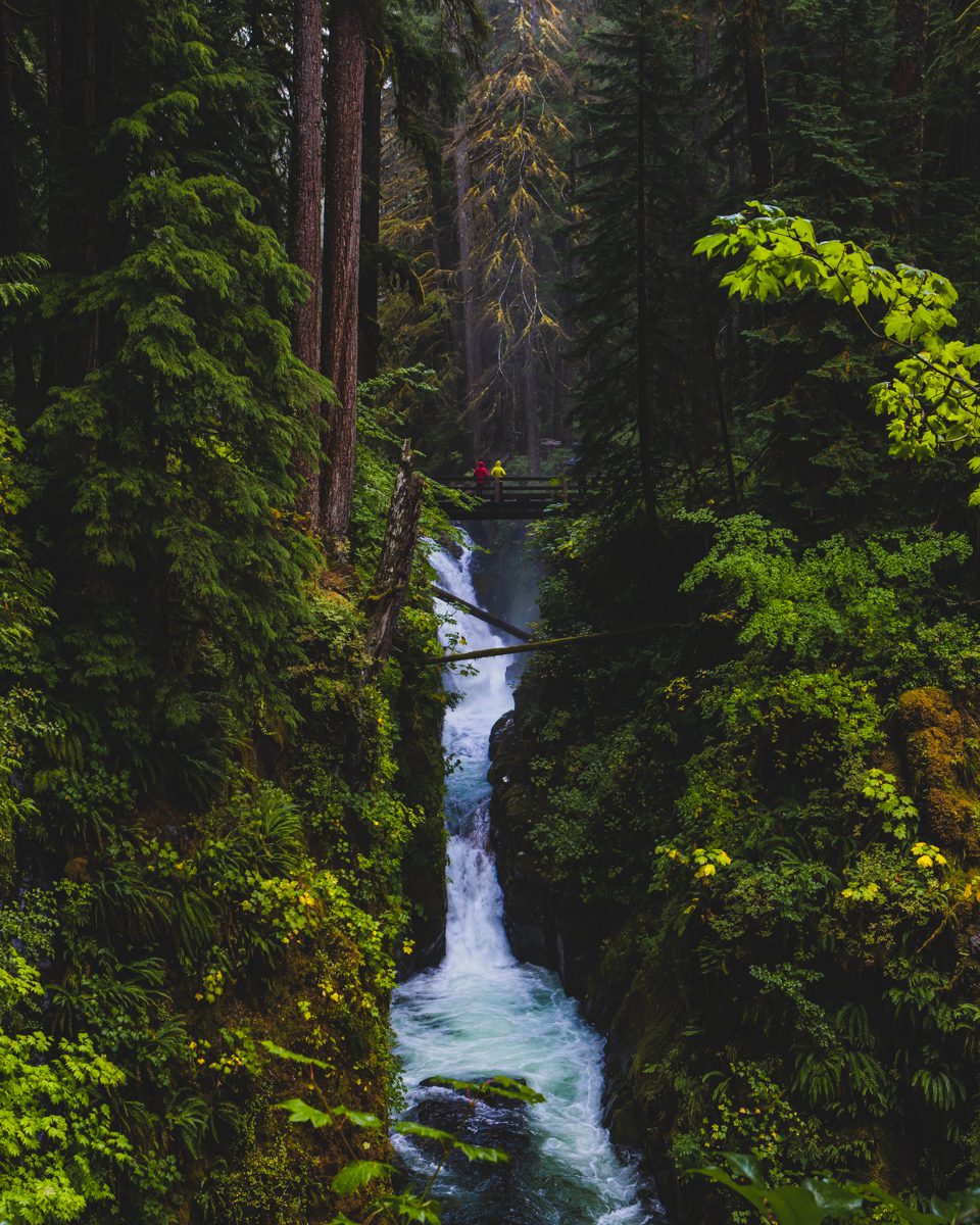 adventure couple hiking the sol duc falls trail in olympic national park