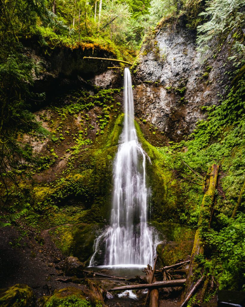 Marymere Falls Olympic National Park