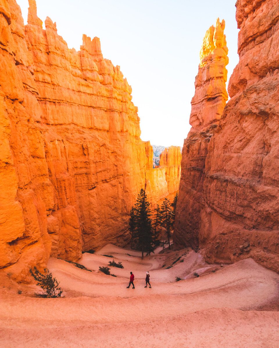 Bryce Canyon National Park Navajo Loop Trail Wall Street