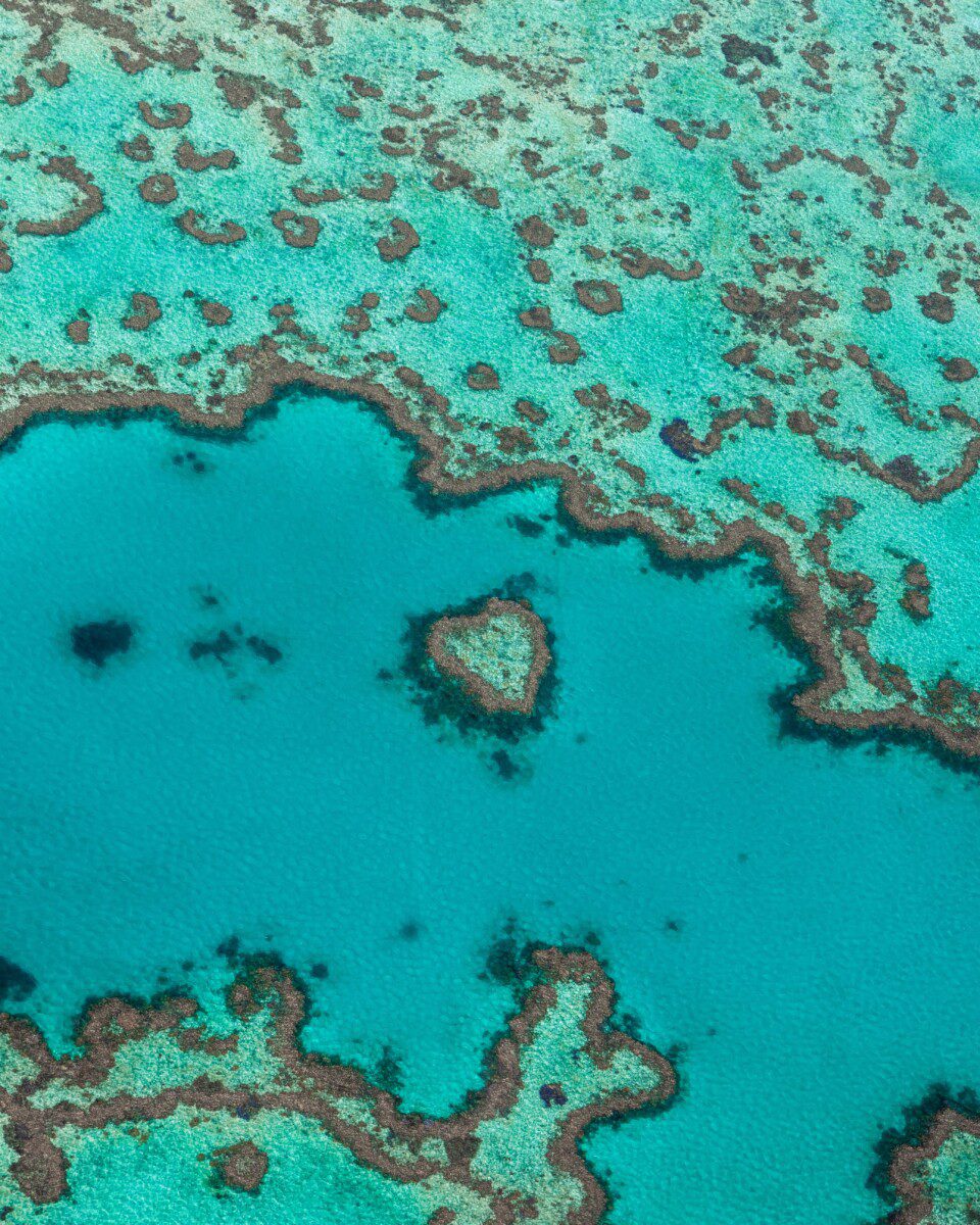 Best of the Whitsundays near Hamilton Island at Heart Reef