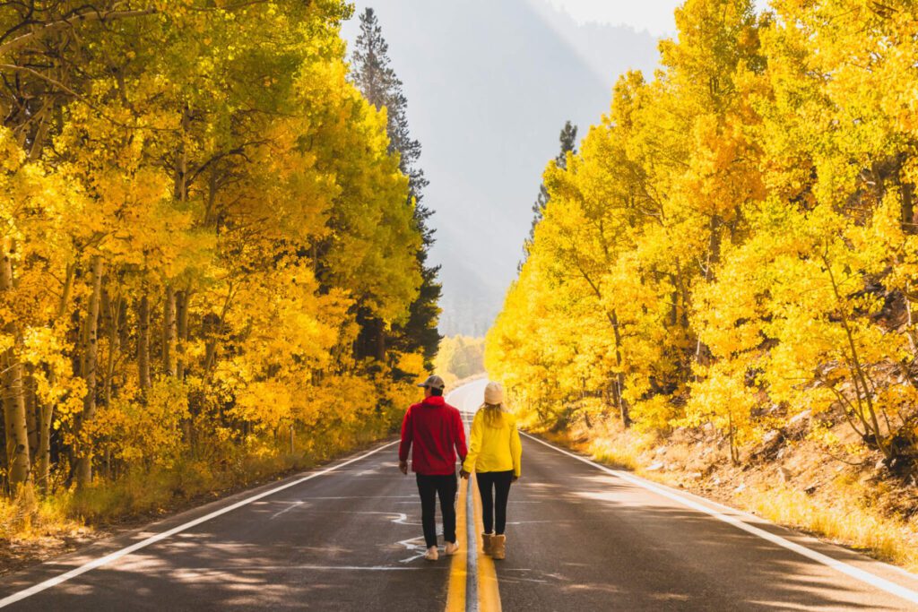 June Lake Loop during peak fall colors