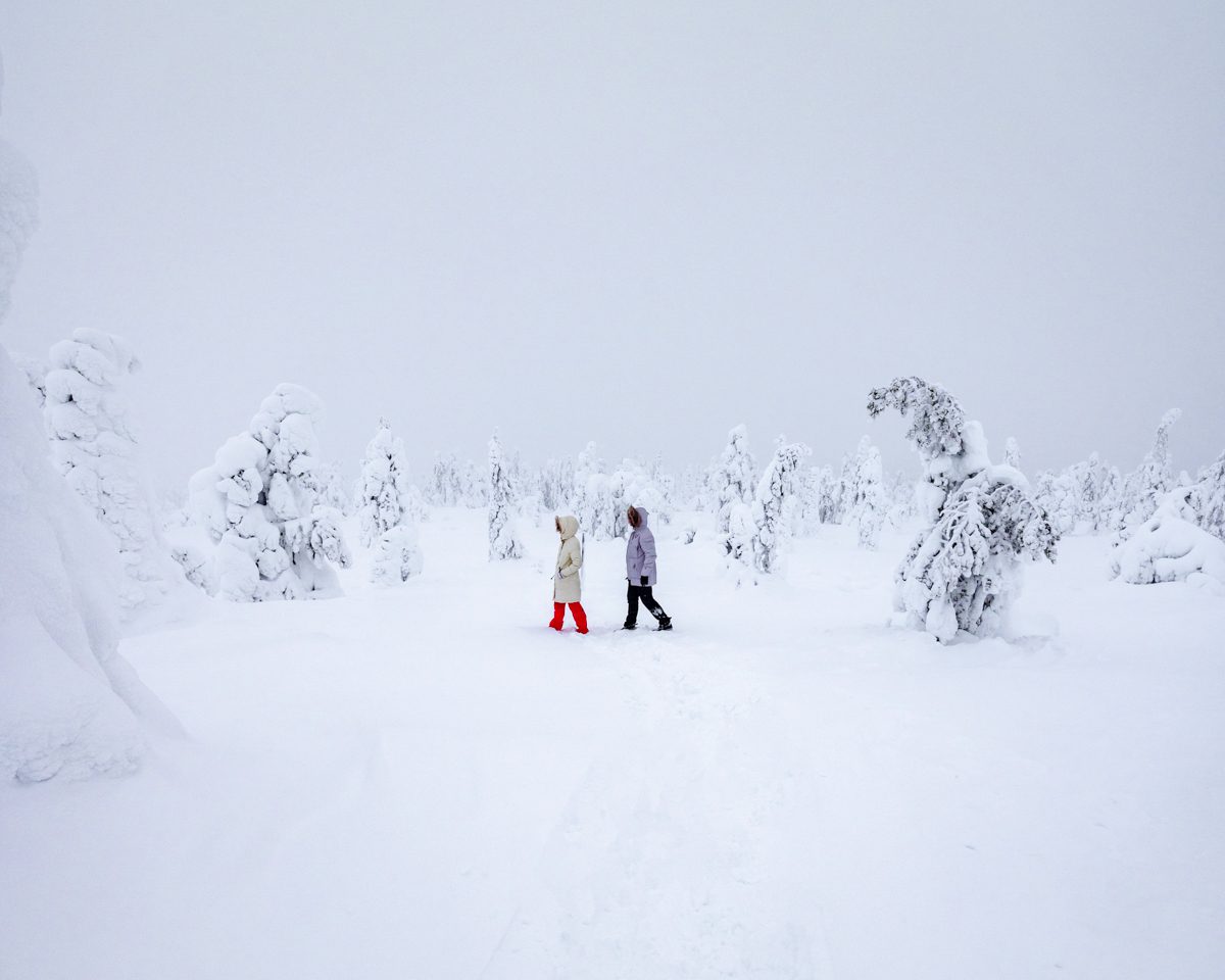 One of the best things to do in Rovaniemi in the Winter - National park