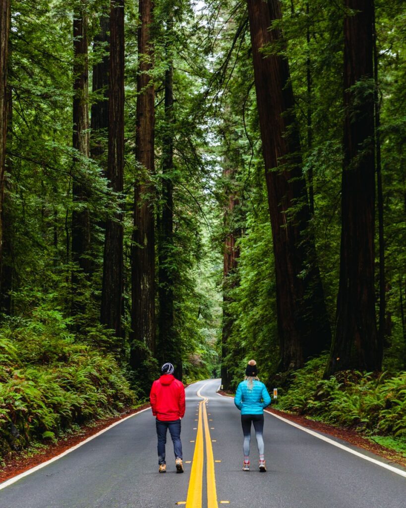 Adventure couple walking through the Avenue of the Giants Redwoods