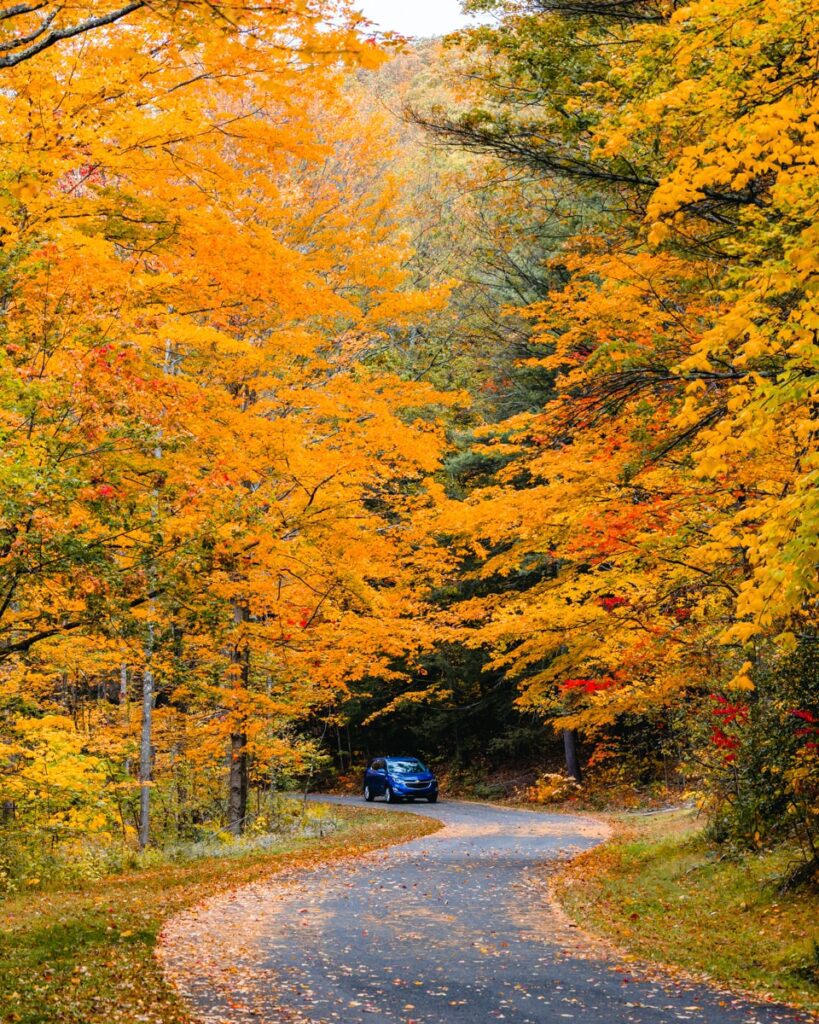 fall foliage tours connecticut