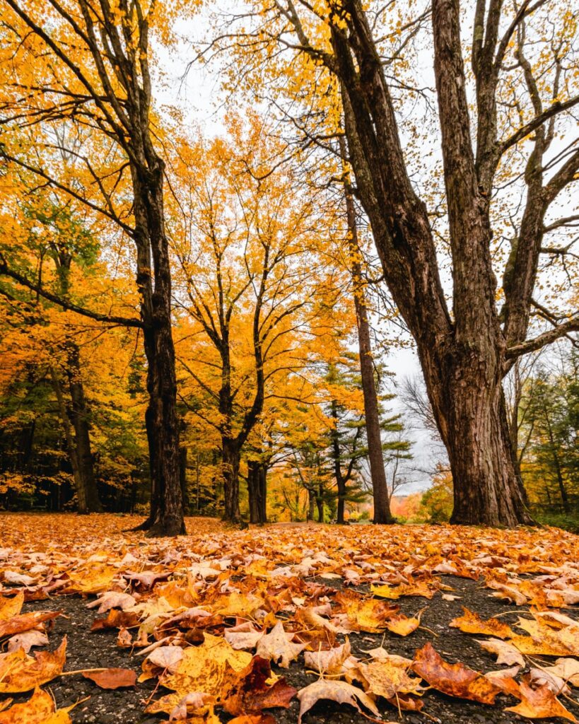 Ultimate Connecticut Fall Foliage Road Trip Guide