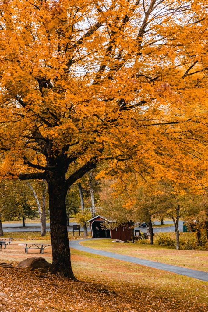 connecticut towns to visit in fall