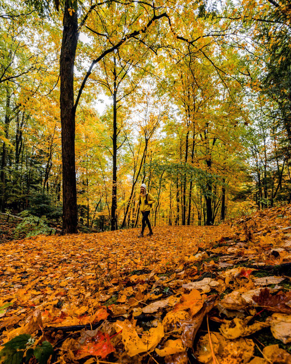 Ultimate Connecticut Fall Foliage Road Trip Guide