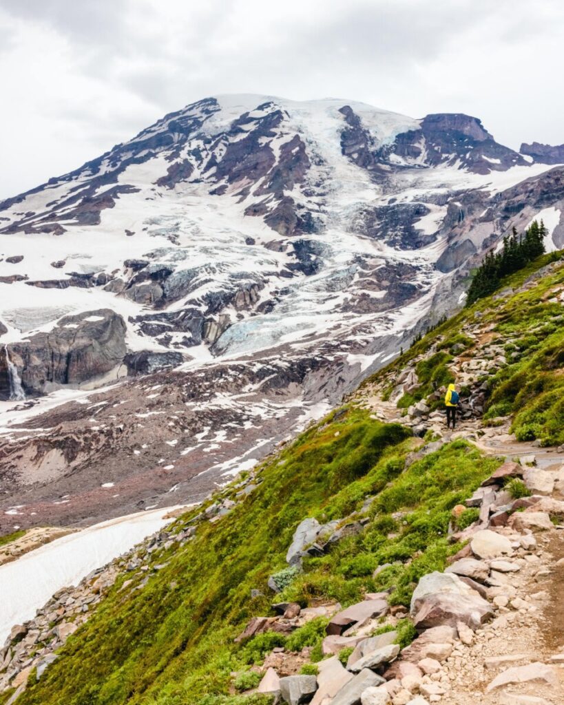 Hiking the Skyline Loop in Mount Rainier National Park 