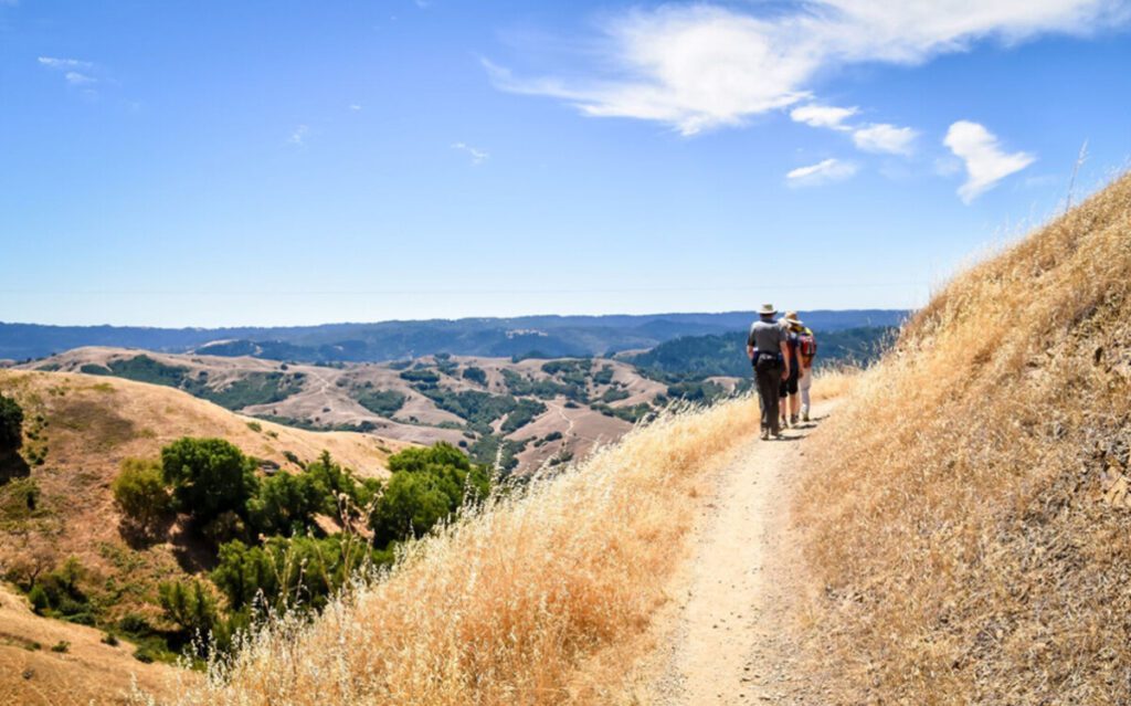 Bay Area Ridge Trail