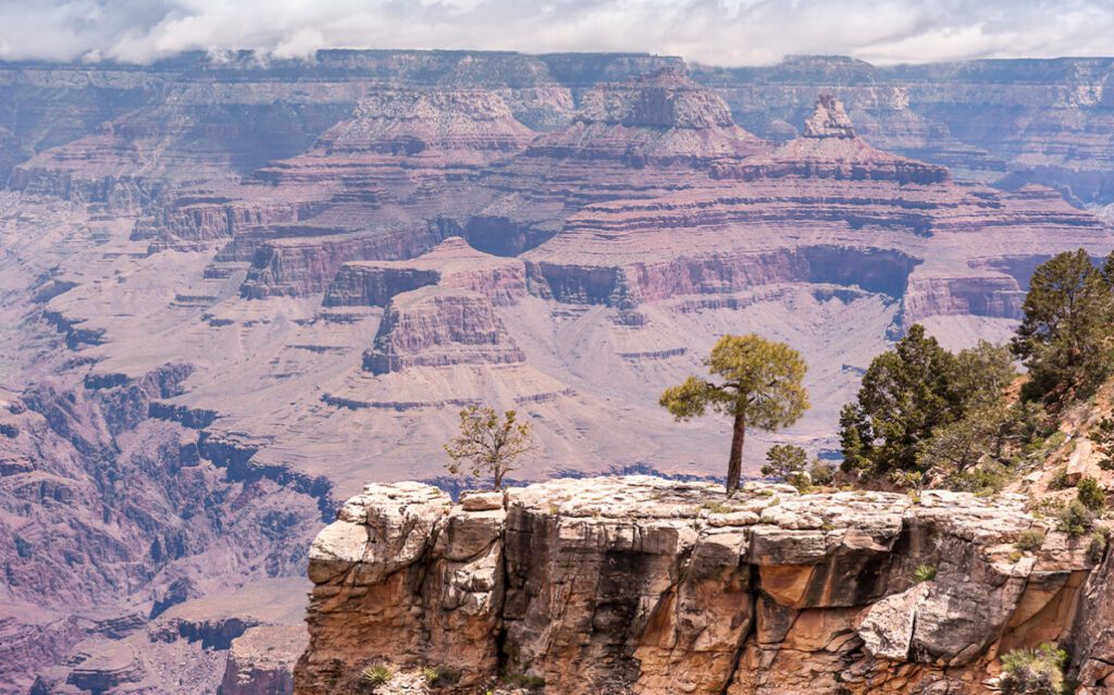 Grand Canyon South Rim