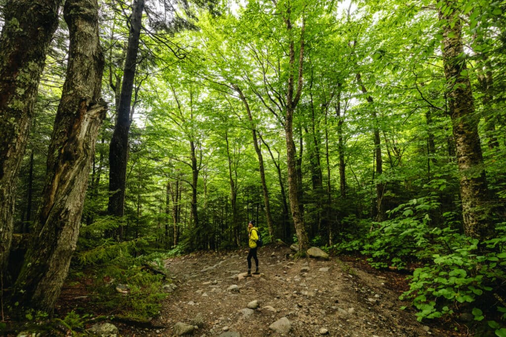 Crystal Cascades Hike New Hampshire Summer Road trip stop