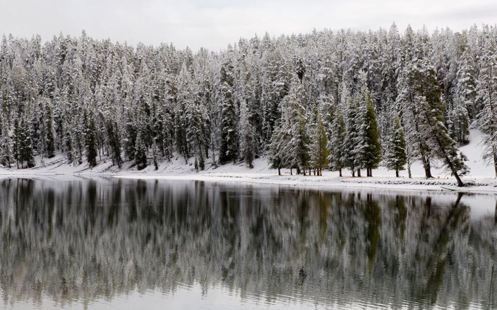 Yellowstone in the Winter