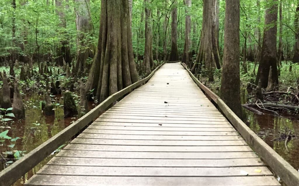 Congaree National Park