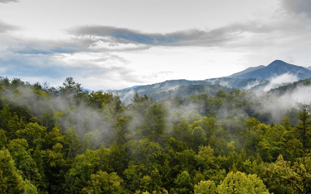 Great Smoky Mountains National Park