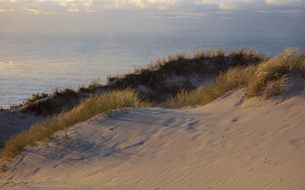 Indiana Dunes National Park