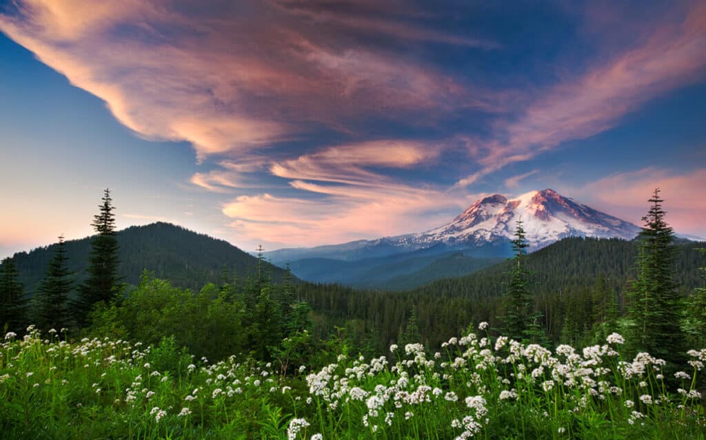 Mount Rainier National Park