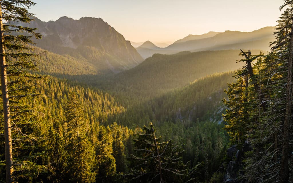 Mount Rainier National Park at Sunset