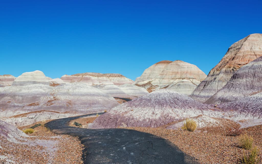 Petrified Forest National Park