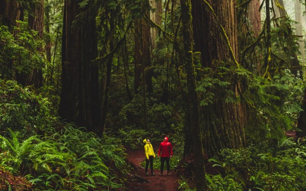 The Lovers Passport at Redwood National Park