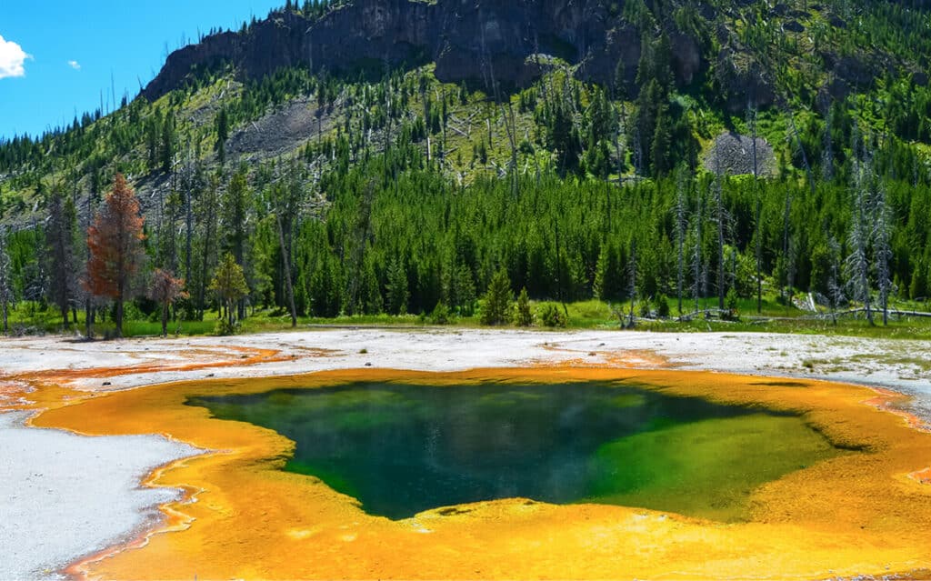 Yellowstone National Park