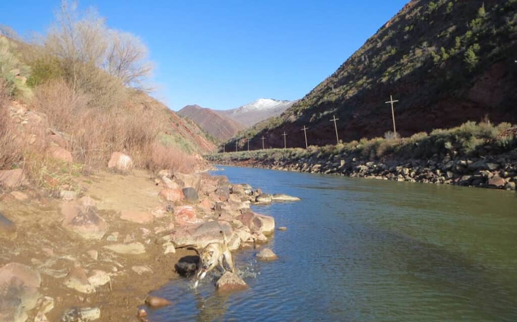 A Primitive Hot Springs in Colorado