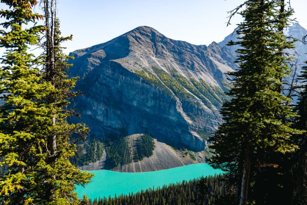 Lake Louise from the Lake Agnes Trail