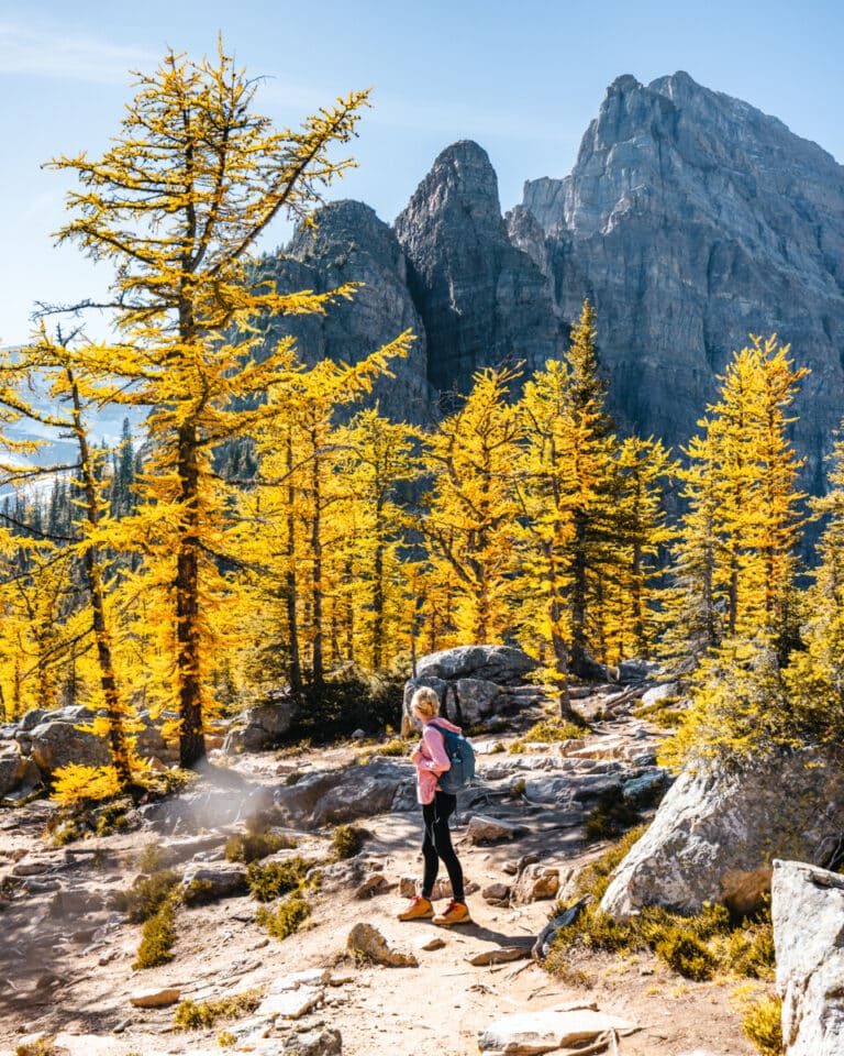 Everything to Know About Visiting Banff National Park in 2024