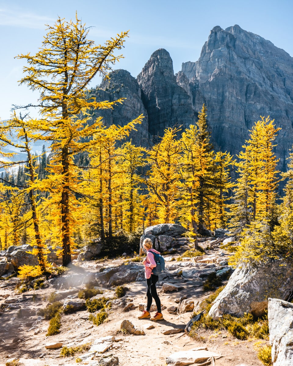 Everything To Know About Visiting Banff National Park In 2024   Fall In Banff National Park 