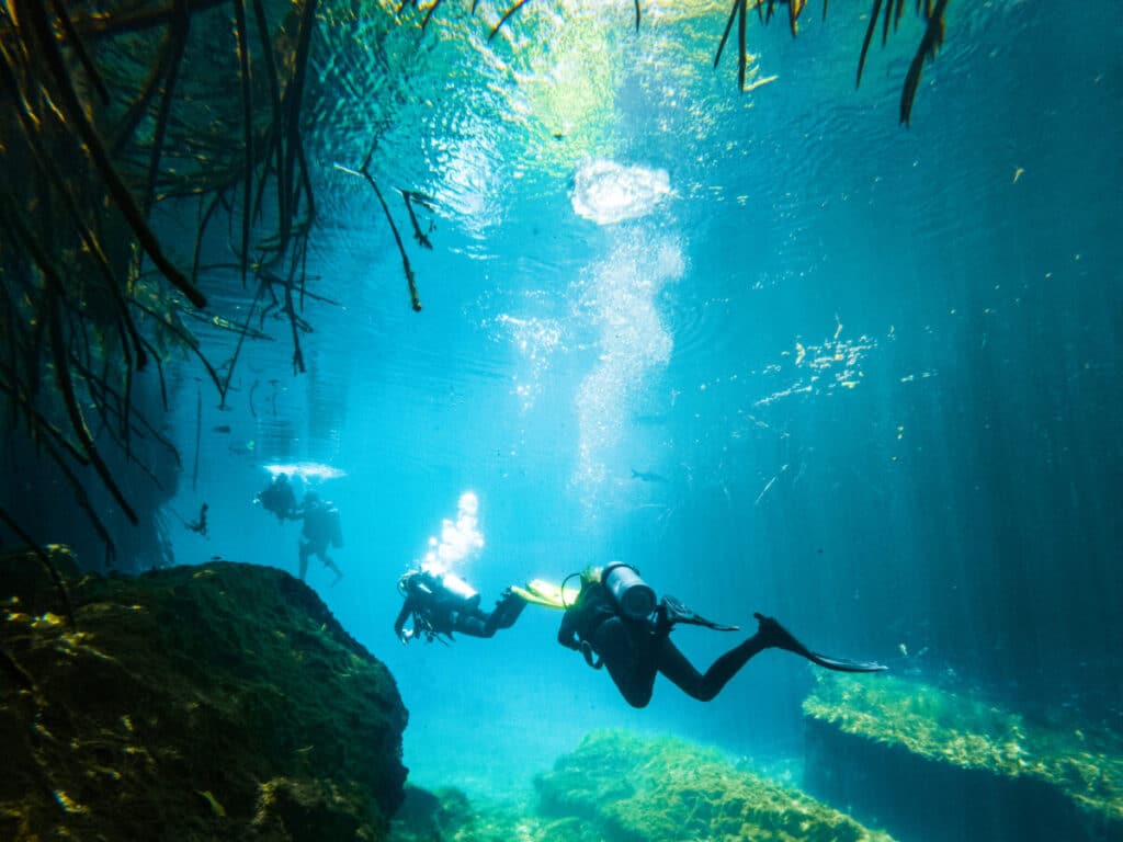 Scuba Diving in a cenote in the Mexican Riviera