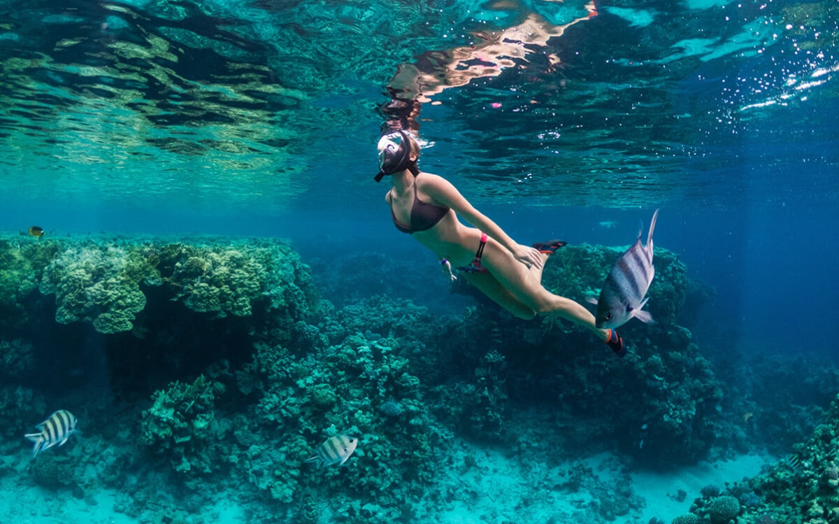 Snorkeling Around a Coral Reef
