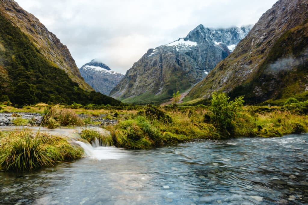 Monkey Creek Fiordland New Zealand