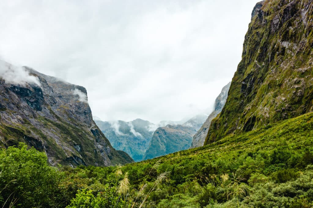 View of Milford Sound exiting the Homer Tunnel