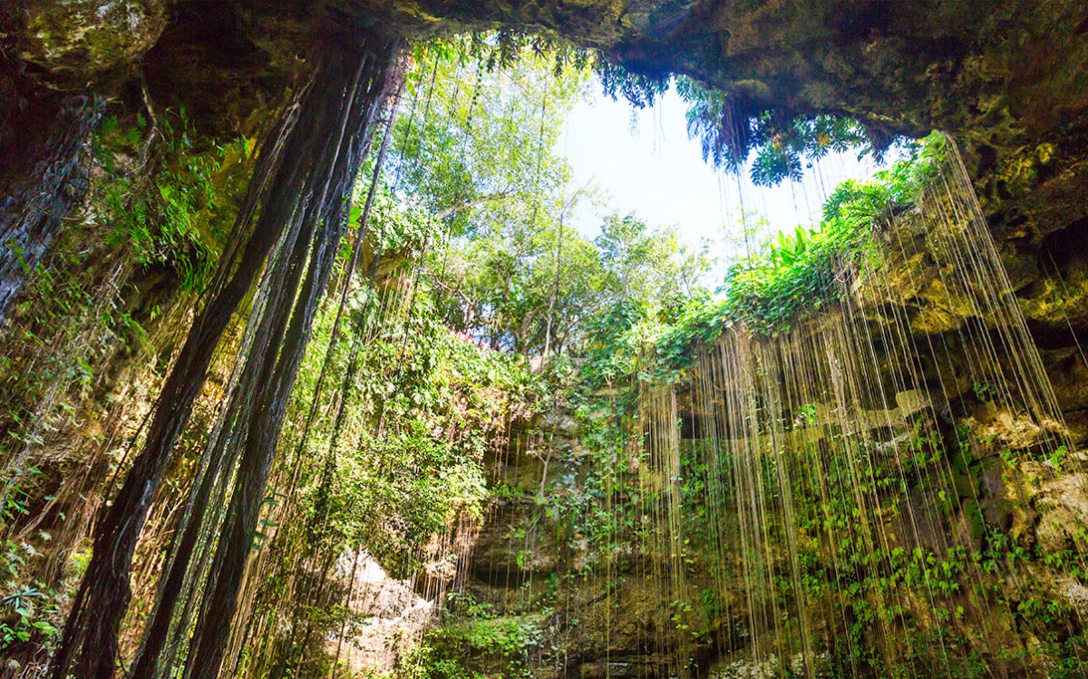 The Inside of a Cenote