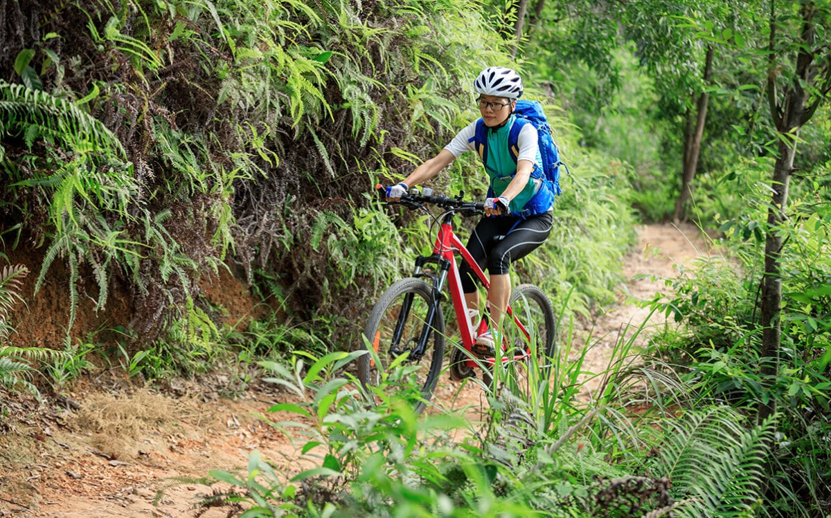A Person Biking in the Forest