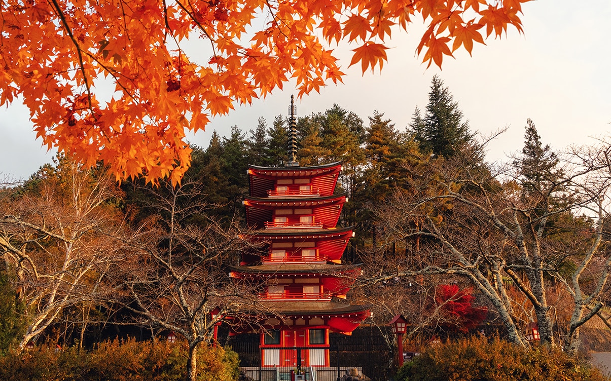 The Fall Colors in Yamanashi Japan